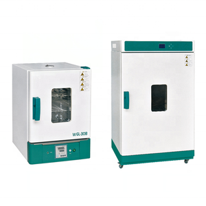 CHINCAN-horno de secado serie WGL, horno eléctrico de laboratorio de secado térmico, aire caliente con el mejor precio - Product Image 2