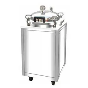 Autoclave pequeño de acero inoxidable, calentador eléctrico, esterilizador, réplica