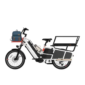 دراجة كهربائية قوية للنقل ذات رف خلفي وإطار عريض من مجموعة اصنعها بنفسك دراجة كهربائية لنقل البضائع