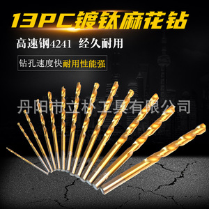 Twist <b>Drill</b> <b>Bit</b> Straight Shank Gold Finish Metal Drilling 13PC 19PC 50PC 99PC Set - Product Image 4