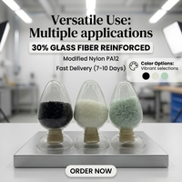 PA12 stabilisé thermiquement renforcé à 30 % de fibres de verre, alternative aux L-GF30 et L-1930 pour supports automobiles et pompes à eau