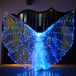 LED 조명 나비 날개 의상