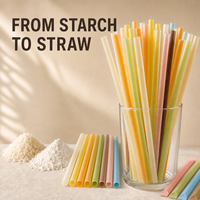 Pailles comestibles personnalisées en amidon de riz, biodégradables, zéro déchet, diamètres 200mm, 230mm, 6mm, 8mm, 12mm – Solution de boisson durable