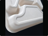 Boîte à repas jetable à emporter, quatre compartiments, boîte à repas biodégradable en pulpe de bagasse de canne à sucre