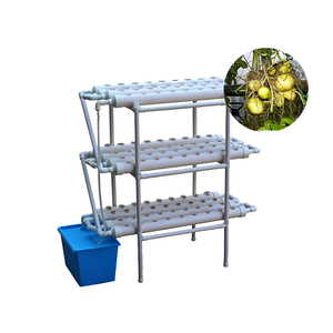 Kit de <span class=keywords><strong>armario</strong></span> de <span class=keywords><strong>cultivo</strong></span> para jardín <span class=keywords><strong>interior</strong></span>, sistema hidropónico Vertical de tubería de PVC - Product Image 1