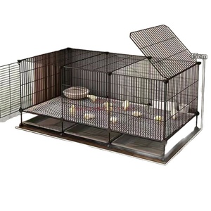 Cage à poulets renforcée anti-lapin, ensemble complet tout-en-un pour poussins, mangeoire, abreuvoir, plateau, tapis, élevage intérieur, poulailler, cailles - Product Image 5