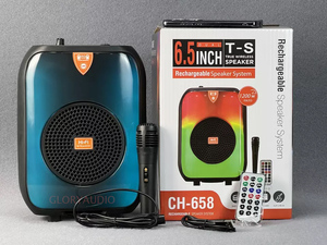 Woofer Aktif RGB Portabel Berkualitas Tinggi 6,5 Inci untuk Karaoke, Bertenaga Baterai DC, Audio Mini Rumahan dengan Fungsi AUX TWS FM
