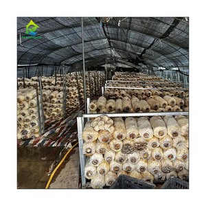 Offre spéciale Cadre en acier galvanisé personnalisé Kit de serre pour champignon entièrement occultant la privation automatique de lumière - Product Image 1
