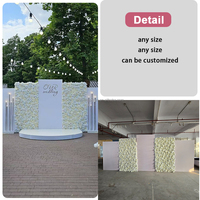 Toile de fond de scène moderne et colorée personnalisée, mur de fleurs en acrylique, toile de fond 120x220cm pour mariage, événement, fête, arches de ballons