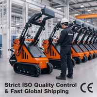 Euro 5 CE EPA Chine Fabricant Petite mini chargeuse compacte 900KG 1 tonne Mini chargeuse sur pneus à vendre Chargeuses antidérapantes Livraison rapide