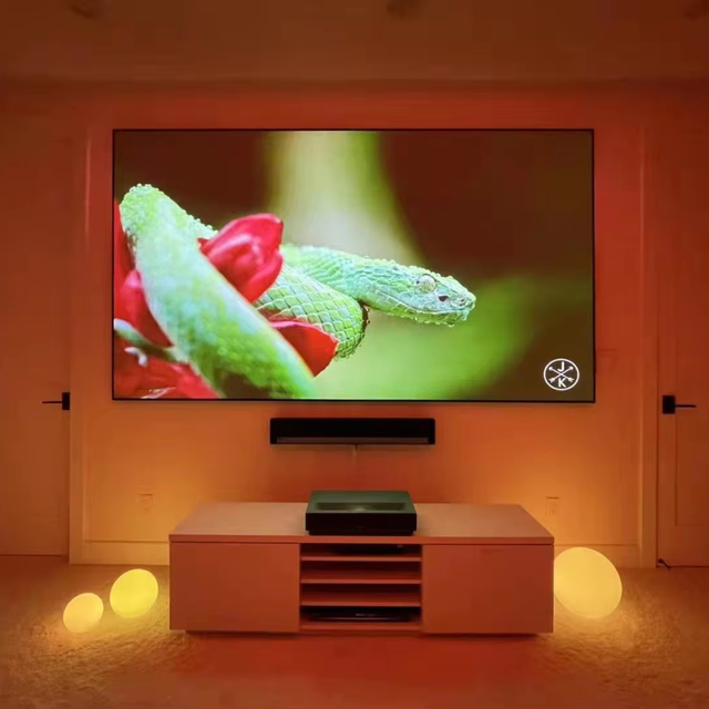 TELON Screen 110 Alr 4K Laser TV Ambient Light Rejecting Pet Crystal for Laser Projector Screen ALR Ust Projection Screen