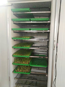 Armoire hydroponique 25kg/jour pour cultiver <span class=keywords><strong>du</strong></span> fourrage avec lumière de croissance - Product Image 5