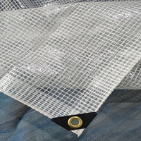 Bâche en PE Bollison, rouleau de bâche/autres tissus en PE transparents/bâches transparentes en HDPE pour couverture