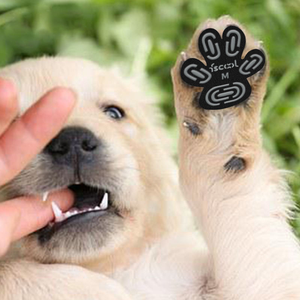 2025 Hot Dog Paw Protector: empuñaduras antideslizantes <span class=keywords><strong>para</strong></span> madera dura y pavimento caliente-Botines desechables transpirables <span class=keywords><strong>para</strong></span> <span class=keywords><strong>perros</strong></span> - Product Image 2