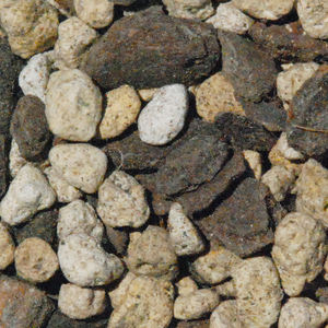 Engrais naturel de sol de nutriments de culture de puissance d'enzymes du Japon pour diverses orchidées occidentales - Product Image 1