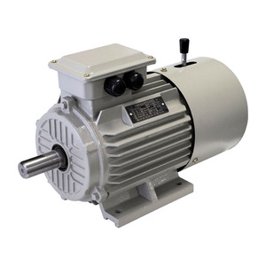 มอเตอร์ไฟฟ้ากระแสสลับแบบเพลาเดียว GEXIN YEJ-100L1 ประสิทธิภาพสูง IE2 IE3 2.2 กิโลวัตต์ 3 แรงม้า 2/4 ขั้ว 380/415 โวลต์ 50/60 เฮิรตซ์ สามเฟส - Product Image 5
