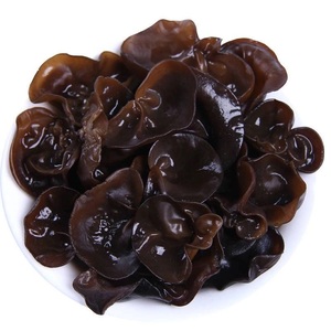 Seta de <span class=keywords><strong>Matsutake</strong></span> comprimida, hongo negro, a la venta - Product Image 2