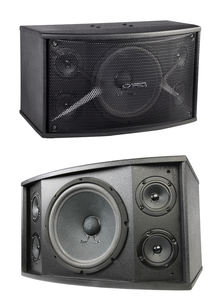 ลําโพงระบบเสียง pa คุณภาพสูงนําเข้ากรวยกระดาษต้นฉบับ 10 นิ้ว 150W ลําโพงมืออาชีพ - Product Image 3