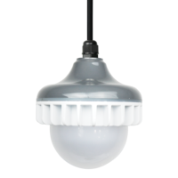 Ampoule LED à intensité variable pour la volaille E27/HT19 Socket IP67 pour la maison de la volaille Sunrise and Sunset Flicker Free