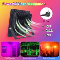 Lampu Sorot LED RGB Luar Ruangan IP66 220-240V 50/100W Kontrol Jarak Jauh IP66 Aluminium Die-Casting Colokan EU Lampu Proyektor LED Reflektor