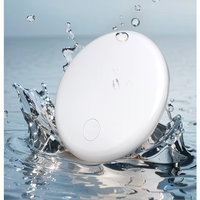 Traceur intelligent pour animaux de compagnie ABS, localisateur universel anti-perte iOS et Android, positionnement Air-Tag, traceur sans fil avec alarme Bluetooth pour extérieur