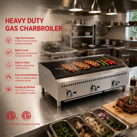 Gril Radiant Commercial à Gaz pour Restaurant avec Certificat ETL, 2, 3 ou 4 Brûleurs, Gril à Lave, Barbecue de Comptoir, Charbroil Radiant