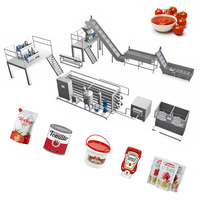 Machine de transformation de tomates industrielle complète à petite échelle, personnalisée ISO 9001/CE, capacité de 10 à 600 tonnes/jour