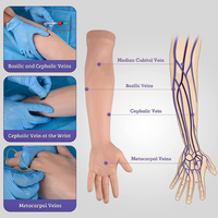 Modelo de enseñanza de Entrenamiento Educativo médico brazo de práctica IV entrenamiento de inyección brazo de entrenamiento IV