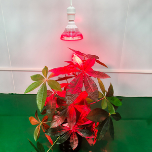 Cân bằng quang phổ 50W E27 dẫn phát triển bóng đèn cho sự phát triển lành mạnh của cây con, microgreens, và các nhà máy trong nhà - Product Image 2