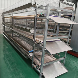 Nouveau système de cages à poulets de type H avec acier galvanisé et garantie de 2 ans pour équipement d'élevage avicole en batterie - Product Image 6