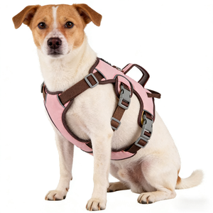 Rompi <span class=keywords><strong>Harness</strong></span> Hewan Peliharaan Gaya Kartun YG-888 dengan Dekorasi Rivet dan Renda - Product Image 5