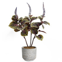 Mini Bonsaï Artificiel en Soie, Haute Simulation, Feuilles de Coleus Artificielles, Plante en Pot de 50 cm pour Décoration de Mariage, Noël et Maison