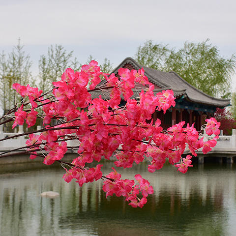 3 branches rose profond