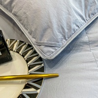 Fabrik preis Queen Size Enten feder Tröster Licht Warm Four Seasons Atmungsaktive Bett decken für Home Hotel Bettdecken Bettdecken