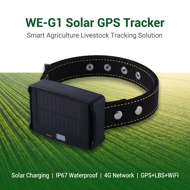 Manufacturer 4G LTE Solar Powered GPS Navigation Livestock Tracker 25000mAh Long Battery Life IP67 Waterproof Real Time Tracking