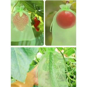 Nylon Customizable Fruit Fly-Insect & Bird Proof Mesh Bag Thick Protective Encrypted Grape Bacon Drying <b>Netting</b> - Product Image 3