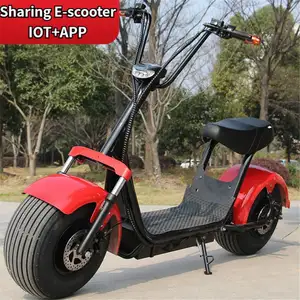 2023 New Electric Scooters Duas Rodas Citycoco 1000W/2000W Pneu Gordura E moto-Bateria De Lítio Bicicleta Elétrica Da Cidade