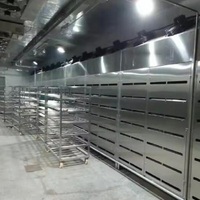 Lignes de décongélation rapide de qualité alimentaire pour les ateliers d'abattage