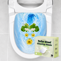 Tablet Pembersih Toilet Ramah Lingkungan Sekali Pakai, Ampuh Menghilangkan Noda, Larut dalam Air, OEM Label Pribadi, Lembaran Pembersih Multi-Permukaan