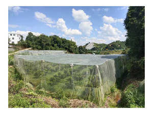 温室防虫ネット農業マラアンチトリップ防虫ネット - Product Image 3