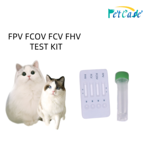 Kustomisasi FPV alat tes diagnostik dokter hewan Panleukopenia kutikula Kit tes <span class=keywords><strong>Strep</strong></span> cepat - Product Image 5