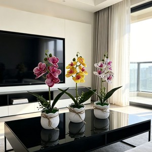 Plante artificielle Paulon Phalaenopsis Orchidée, 34 cm de haut, en plastique souple, décoration intérieure, fleur en pot, décoration de salon, décoration de la maison - Product Image 2