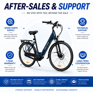 Vélo de ville CITY 5.3 avec cadre en aluminium, moteur central 250W, batterie 36V14Ah, <span class=keywords><strong>Nexus</strong></span> <span class=keywords><strong>7</strong></span> vitesses, freins à disque, homologué CE EN15194, longue autonomie, léger - Product Image 6