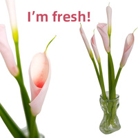 Fleurs de lys Calla coupées sur mesure, fraîches du Yunnan, couleurs mélangées en vrac pour bouquets de mariage et arrangements floraux