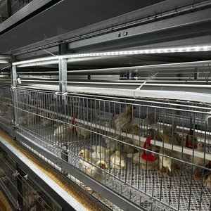 Design moderne Batterie automatique Cage pour poussins de bébé d'un <span class=keywords><strong>jour</strong></span> Cage multifonctionnelle pour poussins nouvelle condition Cage pour poules pondeuses en vente - Product Image 6