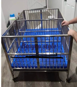 Cage pour chien de grande taille Baiyou, style luxueux, tube carré en acier inoxydable, parc pour chiots, bac en plastique, écologique - Product Image 4