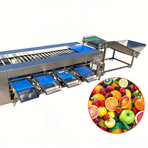 Machine de calibrage et de tri industrielle personnalisée à rouleaux pour agrumes (citron, olive, orange, avocat) et fruits à coque (noix) - Product Image 1