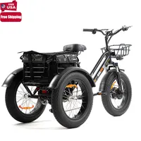 ANLOCHI رخيصة الثمن طويلة المدى 20 بوصة 3 عجلات دراجة البضائع الكهربائية الدهون الإطارات دراجة ثلاثية العجلات الكهربائية