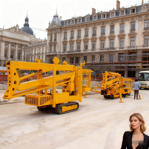 China Famous Supplier Factory Price 2 3 5 8 Ton Crawler Spider Tracked Boom Lift - Product Image 4