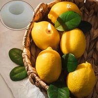 Moule à bougie en silicone de forme irrégulière parfumé au citron TangChu, bricolage pour la fabrication de bougies/savons/mousses à gâteau en provenance de Chine